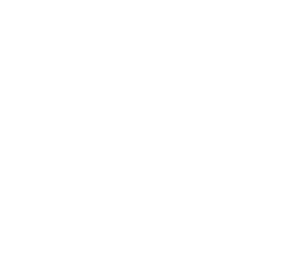 Wit Apps LLC